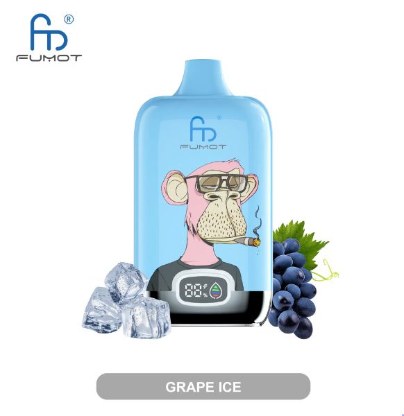 Fumot 12000 Puffs Grape Ice Disposable Vape